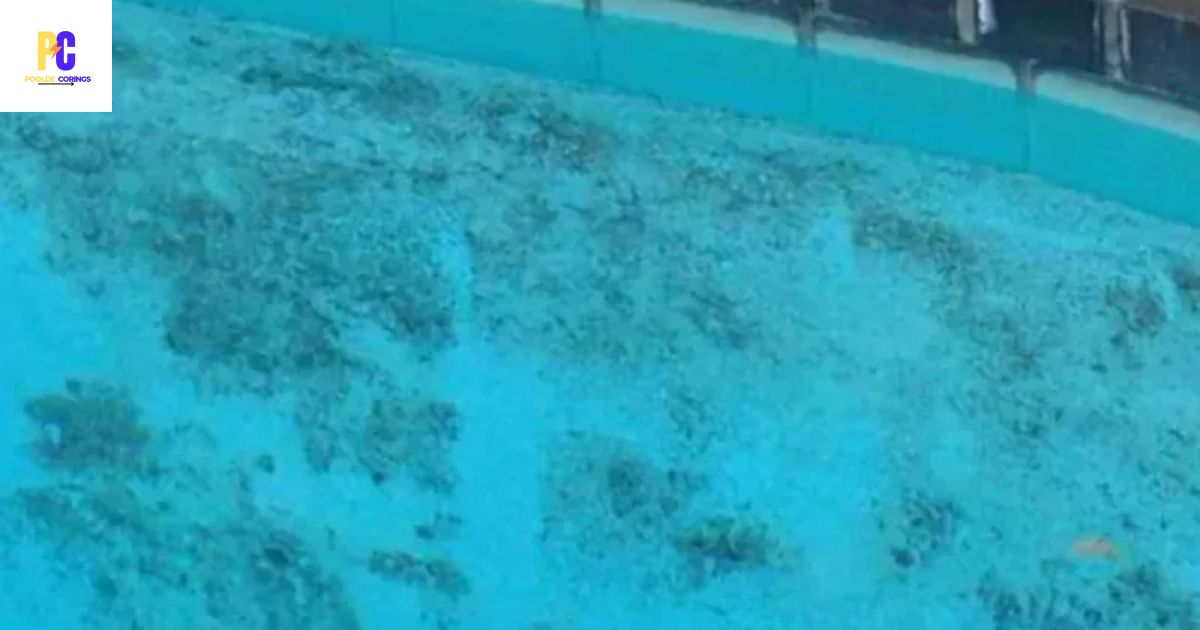 How To Remove Algae Stains From Pool Liner?